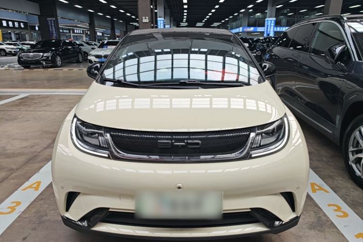 Used BYD Dolphin 2023 420 km Free Version Front