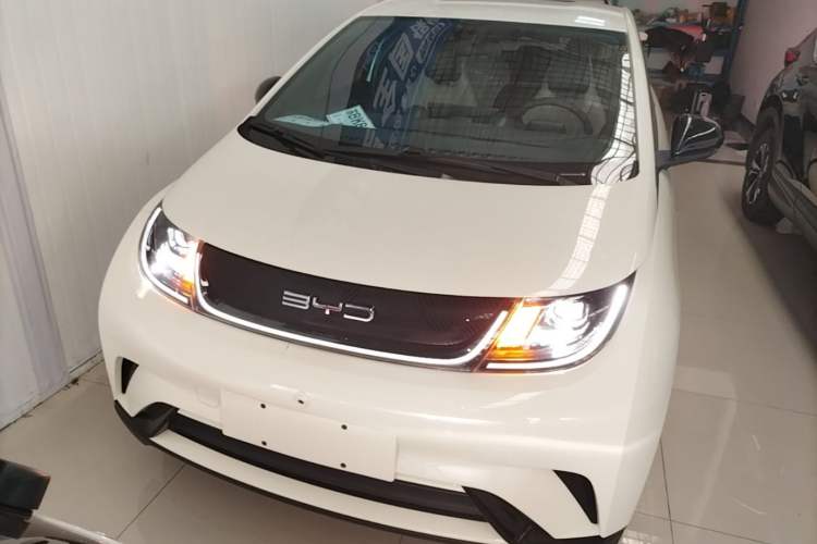 Used BYD Dolphin 2023 420 km Free Version Front