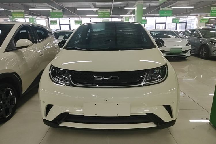 Used BYD Dolphin 2023 420 km Fashion Edition Front