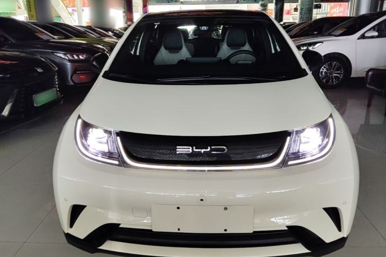Used BYD Dolphin 2023 420 km Fashion Edition Front