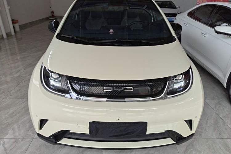 Used BYD Dolphin 2023 420 km Fashion Edition Front
