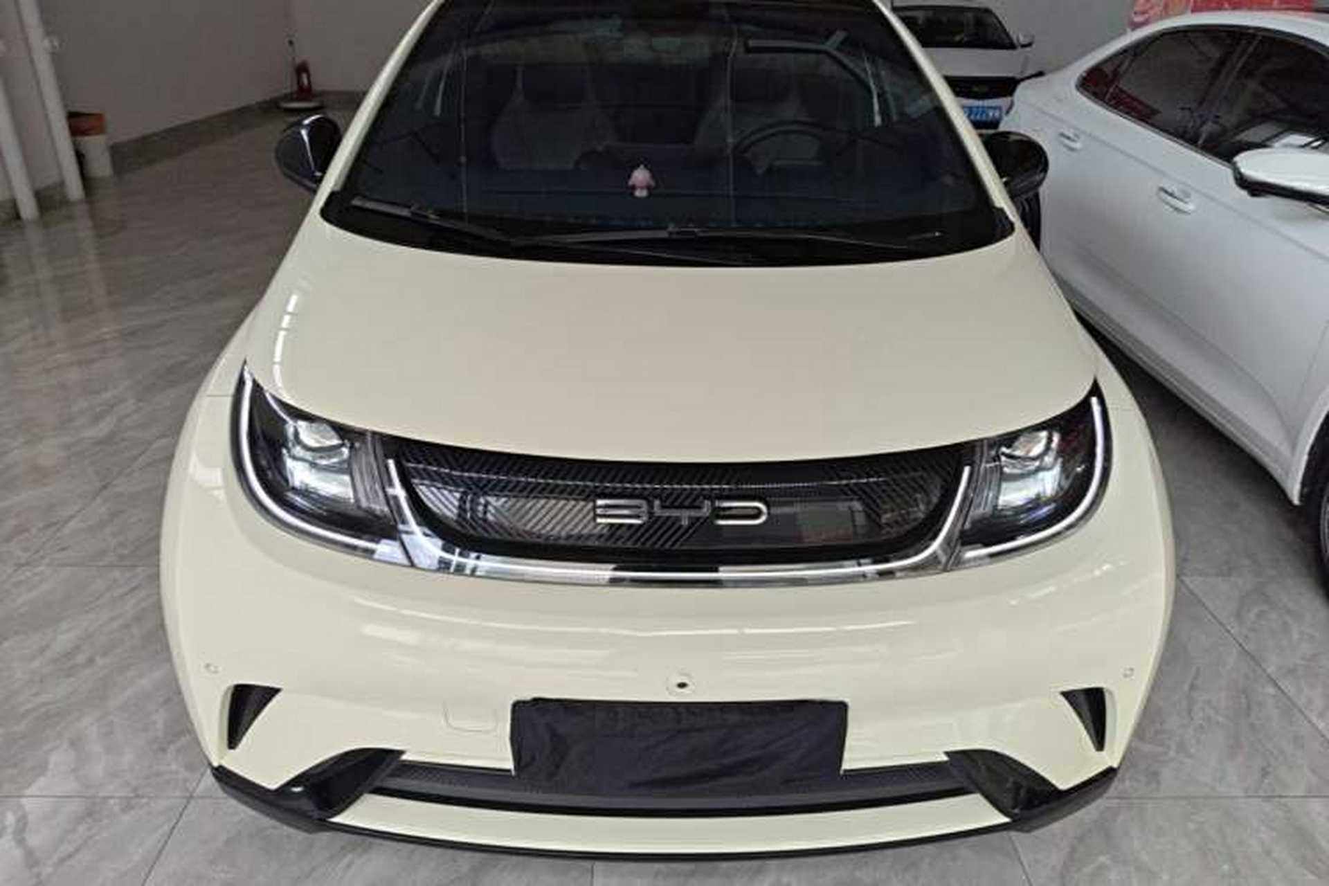 Used BYD Dolphin 2023 420 km Fashion Edition Front