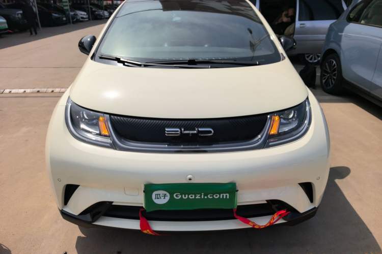 Used BYD Dolphin 2023 420 km Fashion Edition Front