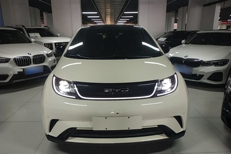 Used BYD Dolphin 2023 420 km Fashion Edition Front
