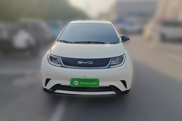 Used BYD Dolphin 2023 420 km Free Version Front