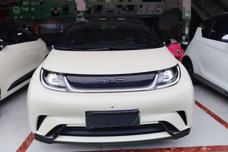 Used BYD Dolphin 2023 420 km Free Version Front
