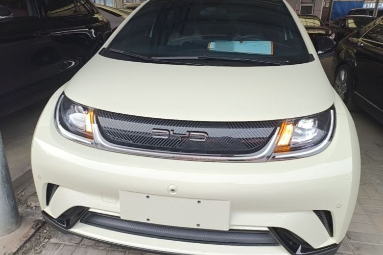 Used BYD Dolphin 2023 420 km Fashion Edition Front