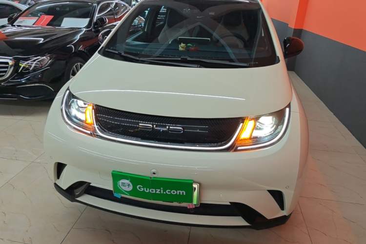 Used BYD Dolphin 2023 420 km Fashion Edition Front