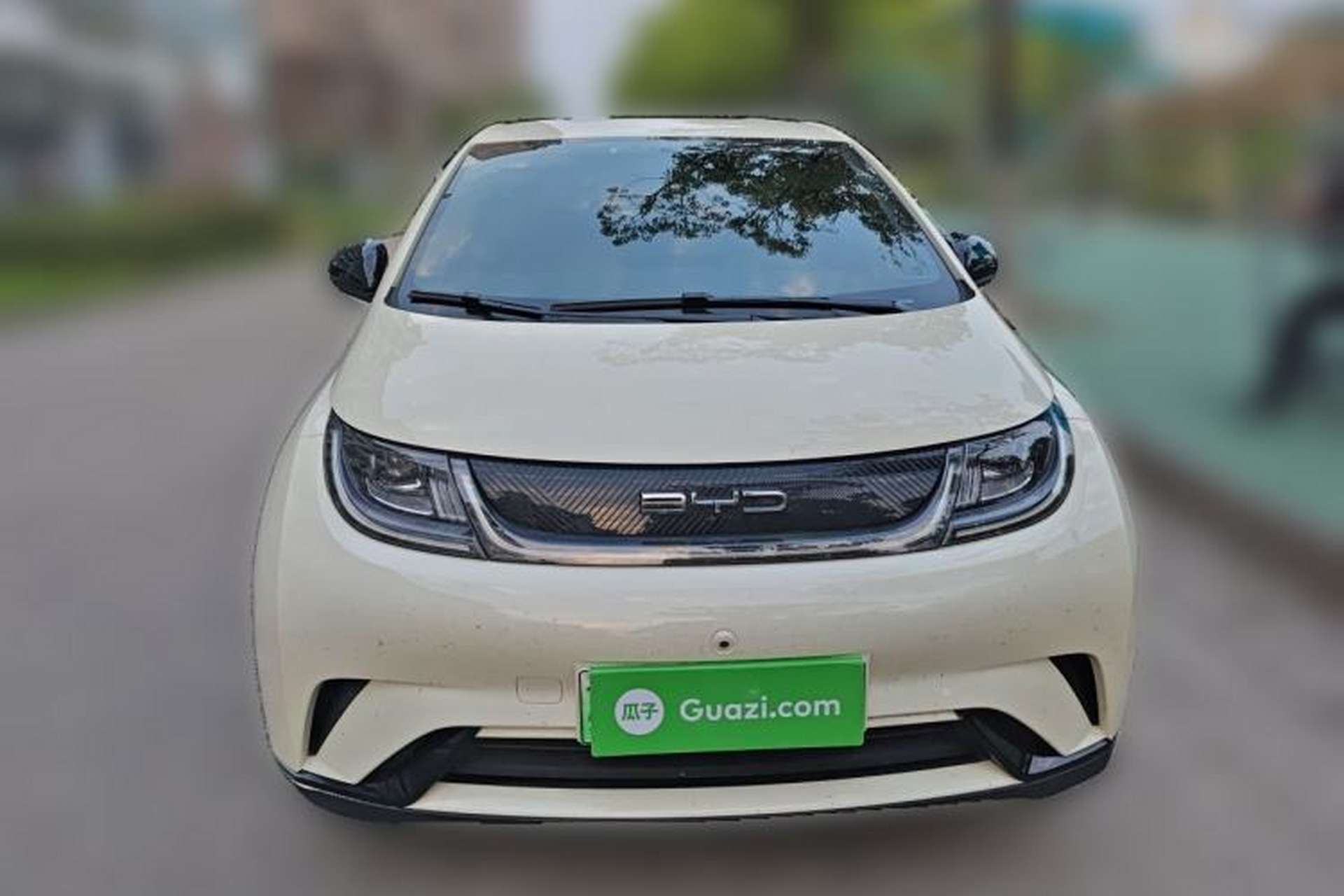 Used BYD Dolphin 2023 420 km Free Version Front