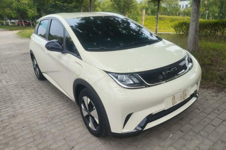 Used BYD Dolphin 2023 420 km Free Version Front Right 45 Deg