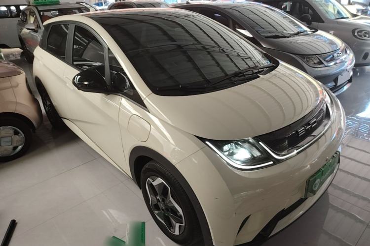 Used BYD Dolphin 2023 420 km Free Version Front Right 45 Deg