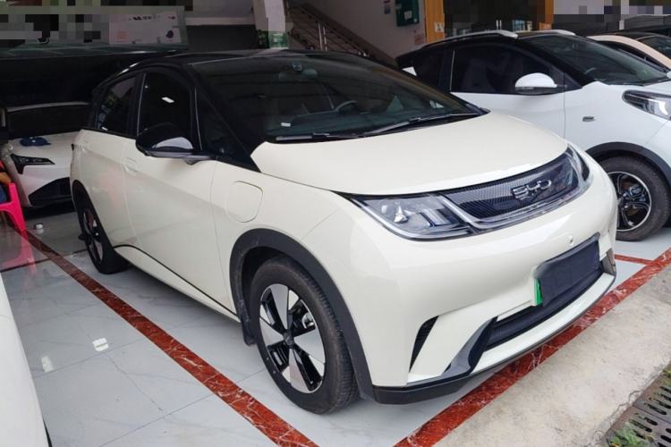 Used BYD Dolphin 2023 420 km Free Version Front Right 45 Deg