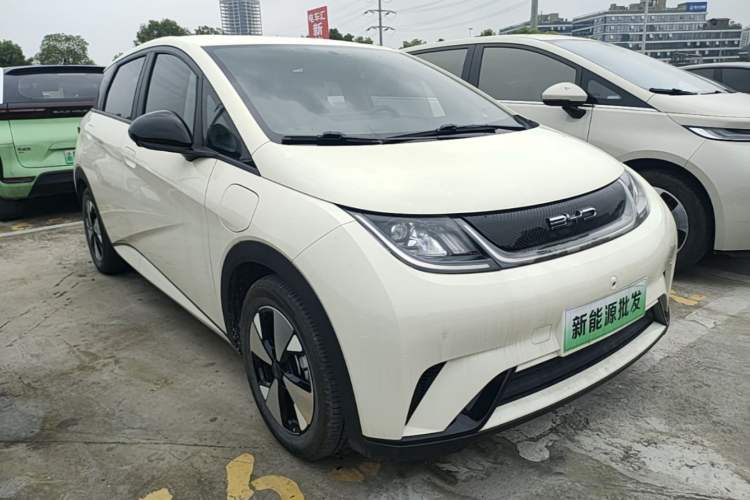 Used BYD Dolphin 2023 420 km Free Version Front Right 45 Deg