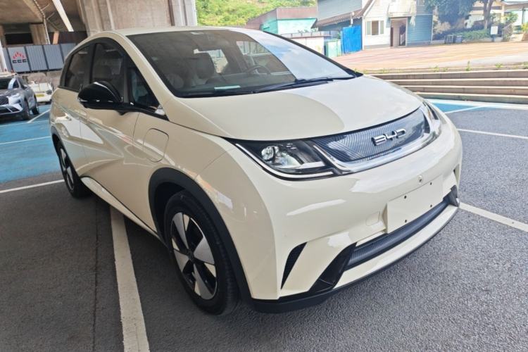 Used BYD Dolphin 2023 420 km Free Version Front Right 45 Deg