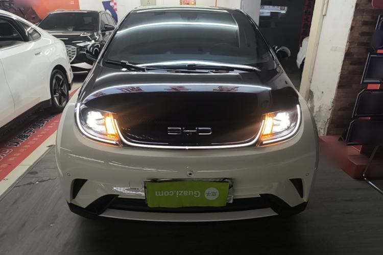 Used BYD Dolphin 2023 420 km Fashion Edition Front