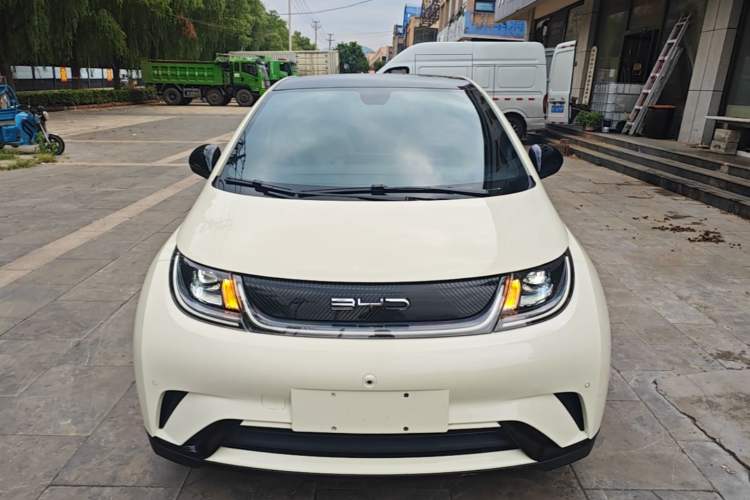Used BYD Dolphin 2023 420 km Fashion Edition Front