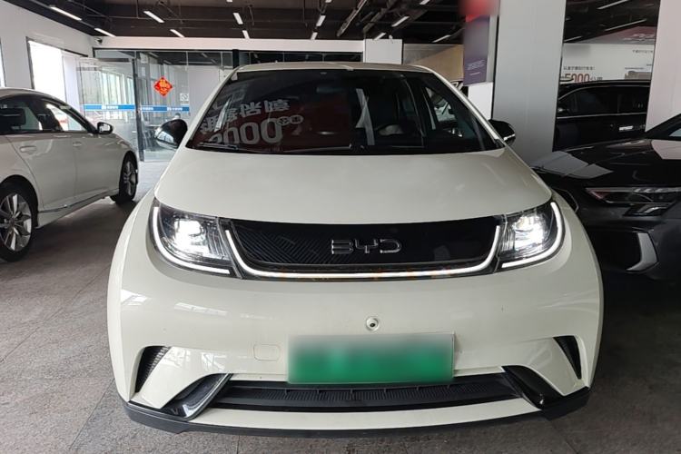 Used BYD Dolphin 2023 420 km Free Version Front