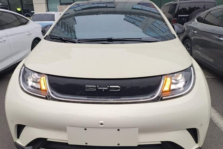 Used BYD Dolphin 2023 420 km Fashion Edition Front
