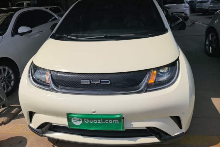 Used BYD Dolphin 2023 420 km Fashion Edition Front