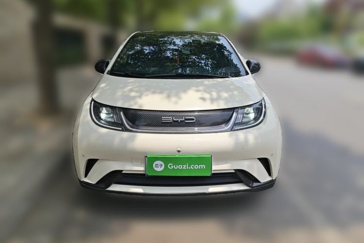Used BYD Dolphin 2023 420 km Fashion Edition Front