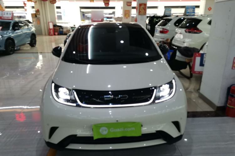 Used BYD Dolphin 2023 420 km Fashion Edition Front
