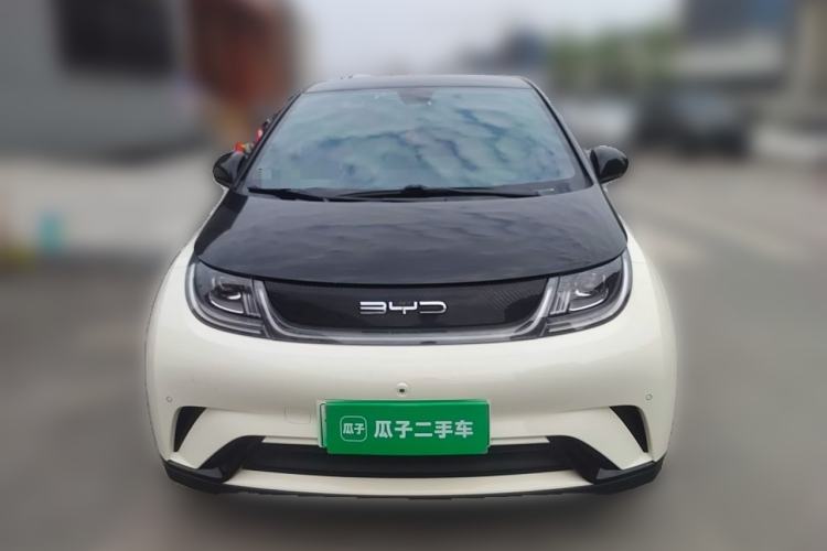 Used BYD Dolphin 2023 420 km Fashion Edition Front