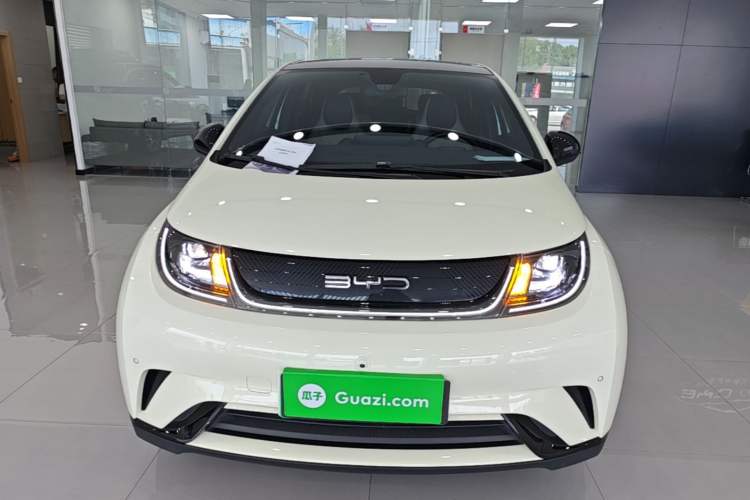 Used BYD Dolphin 2023 420 km Fashion Edition Front