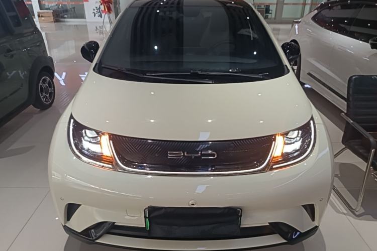 Used BYD Dolphin 2023 420 km Fashion Edition Front