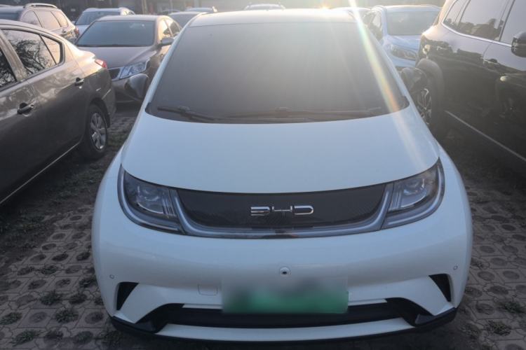 Used BYD Dolphin 2023 420 km Fashion Edition Front