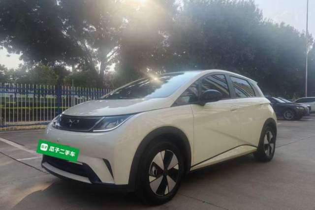 Used BYD Dolphin 2023 420 km Free Version