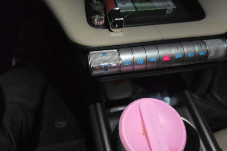Used BYD Dolphin 2023 420 km Free Version Gear Lever