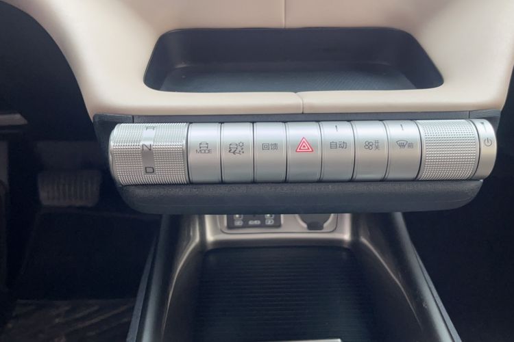 Used BYD Dolphin 2023 420 km Fashion Edition Gear Lever