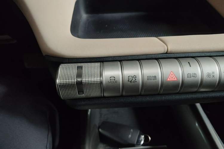Used BYD Dolphin 2023 420 km Free Version Gear Lever