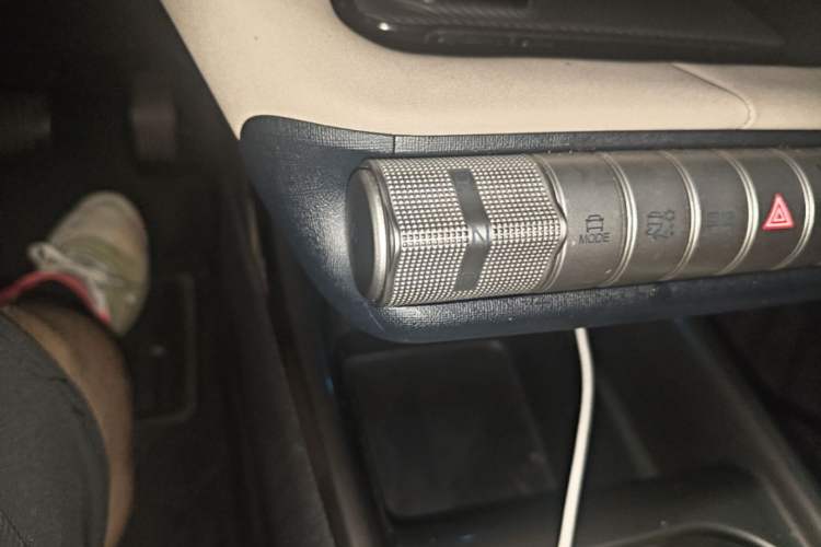 Used BYD Dolphin 2023 420 km Free Version Gear Lever