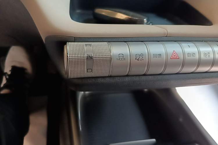 Used BYD Dolphin 2023 420 km Free Version Gear Lever