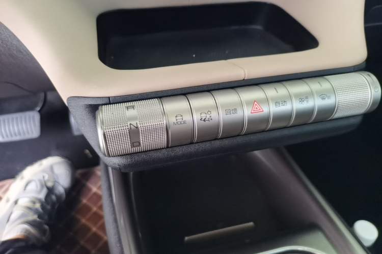 Used BYD Dolphin 2023 420 km Fashion Edition Gear Lever