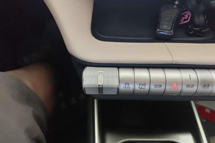 Used BYD Dolphin 2023 420 km Fashion Edition Gear Lever