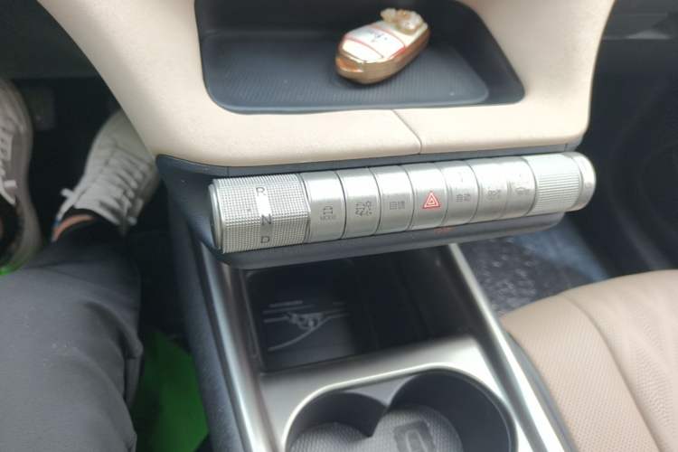 Used BYD Dolphin 2023 420 km Fashion Edition Gear Lever