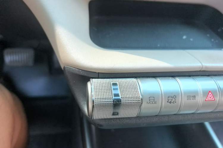 Used BYD Dolphin 2023 420 km Fashion Edition Gear Lever