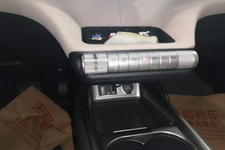 Used BYD Dolphin 2023 420 km Free Version Gear Lever