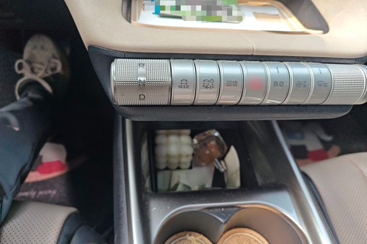 Used BYD Dolphin 2023 420 km Fashion Edition Gear Lever