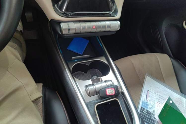 Used BYD Dolphin 2023 420 km Free Version Gear Lever