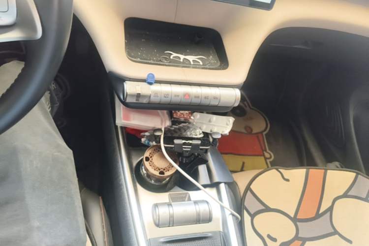 Used BYD Dolphin 2023 420 km Free Version Gear Lever