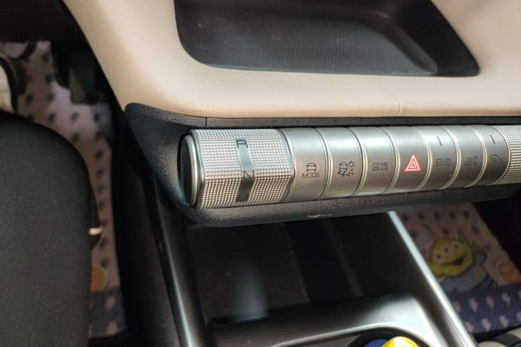 Used BYD Dolphin 2023 420 km Free Version Gear Lever