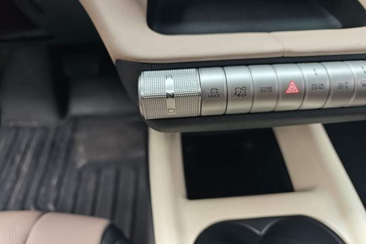 Used BYD Dolphin 2023 420 km Free Version Gear Lever