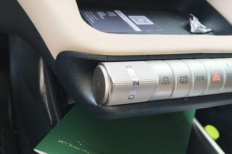 Used BYD Dolphin 2023 420 km Free Version Gear Lever
