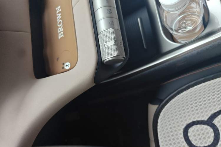 Used BYD Dolphin 2023 420 km Fashion Edition Gear Lever