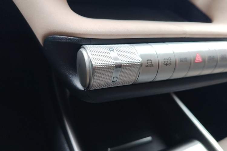 Used BYD Dolphin 2023 420 km Free Version Gear Lever