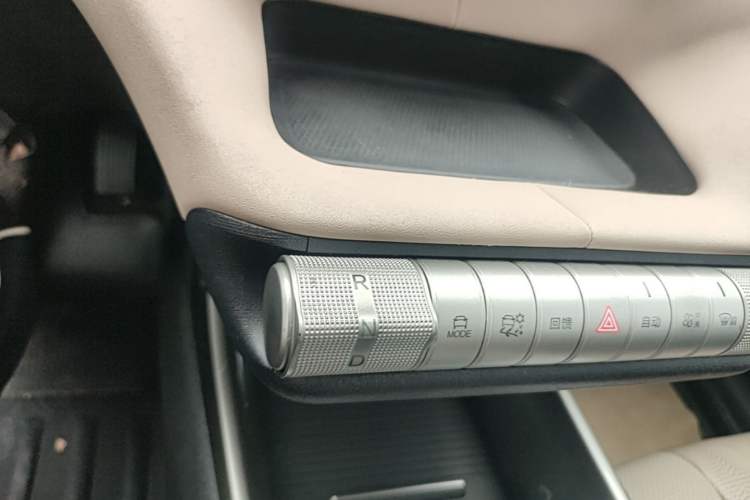 Used BYD Dolphin 2023 420 km Free Version Gear Lever
