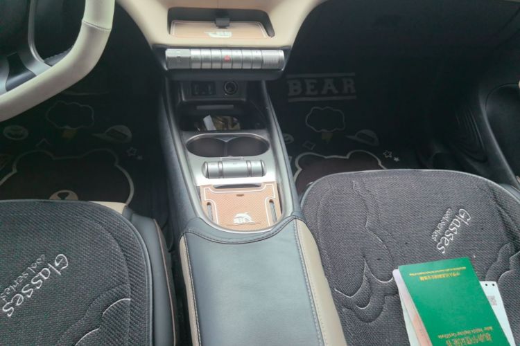 Used BYD Dolphin 2023 420 km Free Version Gear Lever